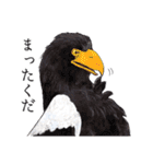 日本の野鳥5（個別スタンプ：11）