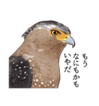 日本の野鳥5（個別スタンプ：28）