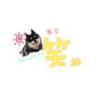 トン犬れおぷん（ギガチワワ）（個別スタンプ：8）