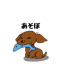 ダックスの毎日スタンプ（個別スタンプ：1）