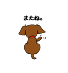 ダックスの毎日スタンプ（個別スタンプ：19）