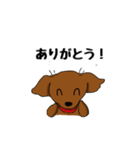ダックスの毎日スタンプ（個別スタンプ：26）