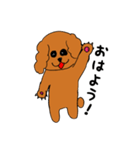 ラサアプソ犬のモッピー（個別スタンプ：1）