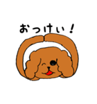 ラサアプソ犬のモッピー（個別スタンプ：4）