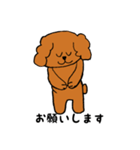 ラサアプソ犬のモッピー（個別スタンプ：5）