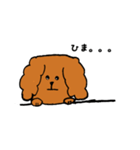 ラサアプソ犬のモッピー（個別スタンプ：11）