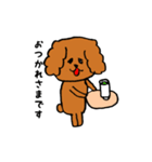 ラサアプソ犬のモッピー（個別スタンプ：13）