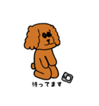 ラサアプソ犬のモッピー（個別スタンプ：16）