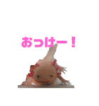 ウパウパスタンプ（個別スタンプ：7）