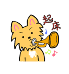 うちのお父さんとその犬（個別スタンプ：16）