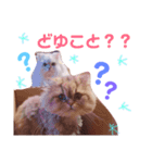ありさんの家の猫たち（個別スタンプ：4）