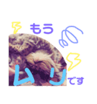 ありさんの家の猫たち（個別スタンプ：7）