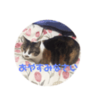 たきちスタンプ（個別スタンプ：2）