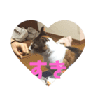 たきちスタンプ（個別スタンプ：5）