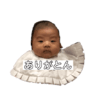 タロさんスタンプ（個別スタンプ：6）