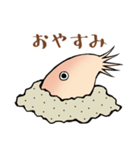 ひどじょう（個別スタンプ：1）