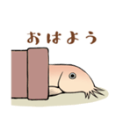 ひどじょう（個別スタンプ：3）