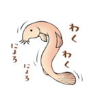 ひどじょう（個別スタンプ：5）