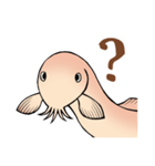 ひどじょう（個別スタンプ：8）