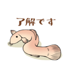 ひどじょう（個別スタンプ：9）
