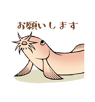 ひどじょう（個別スタンプ：14）