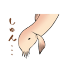 ひどじょう（個別スタンプ：21）