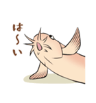 ひどじょう（個別スタンプ：22）