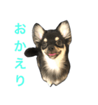 れのにこ（個別スタンプ：5）