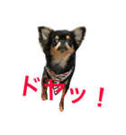 れのにこ（個別スタンプ：6）