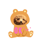 私のシェリくん（個別スタンプ：5）