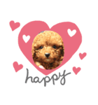 私のシェリくん（個別スタンプ：6）
