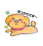 もふもふトイプードル‼︎チャコちゃん（個別スタンプ：5）