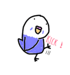ゆるインコのちゅぴちゃんとプルちゃん（個別スタンプ：5）