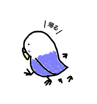 ゆるインコのちゅぴちゃんとプルちゃん（個別スタンプ：7）