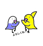 ゆるインコのちゅぴちゃんとプルちゃん（個別スタンプ：8）