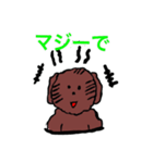 トイプードルイヌ（個別スタンプ：7）