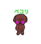 トイプードルイヌ（個別スタンプ：10）