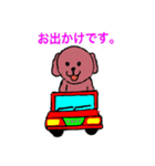 トイプードルイヌ（個別スタンプ：12）
