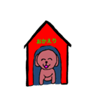 トイプードルイヌ（個別スタンプ：14）