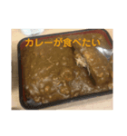 カレーが食べたいス（個別スタンプ：5）