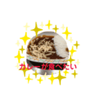 カレーが食べたいス（個別スタンプ：7）