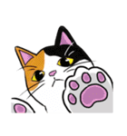 ねこ飼い暮らし（個別スタンプ：2）