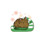ねこ飼い暮らし（個別スタンプ：12）