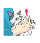 ねこ飼い暮らし（個別スタンプ：13）
