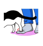 ねこ飼い暮らし（個別スタンプ：14）