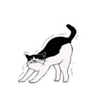 ねこ飼い暮らし（個別スタンプ：17）