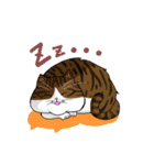 ねこ飼い暮らし（個別スタンプ：23）