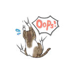 ねこ飼い暮らし（個別スタンプ：28）