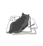 ねこ飼い暮らし（個別スタンプ：31）