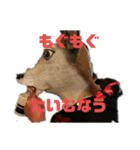 妙の鹿2（個別スタンプ：1）